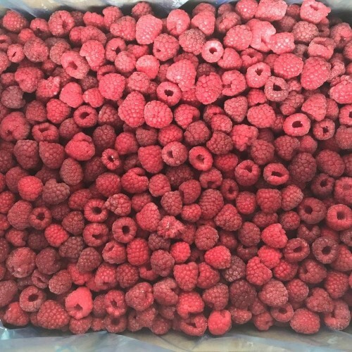 TK-Himbeeren serbisch