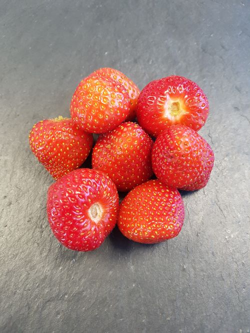 TK-Erdbeeren (4 x 2,5 kg)